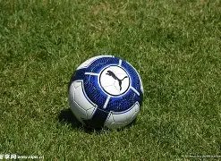 安切洛蒂力,勸我留任米,除非加利亞,新葡京,新葡京app,新葡京娱乐,新普京赌场