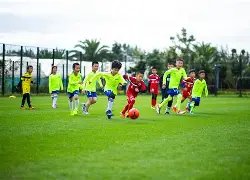 大乐透期号,专家质合推,荐前区十码,新葡京,新葡京app,新葡京娱乐,新普京赌场